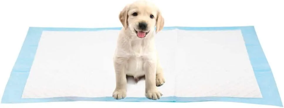 AllPetSolutions 50 x XL Disposable Puppy Pads - 60 x 90cm