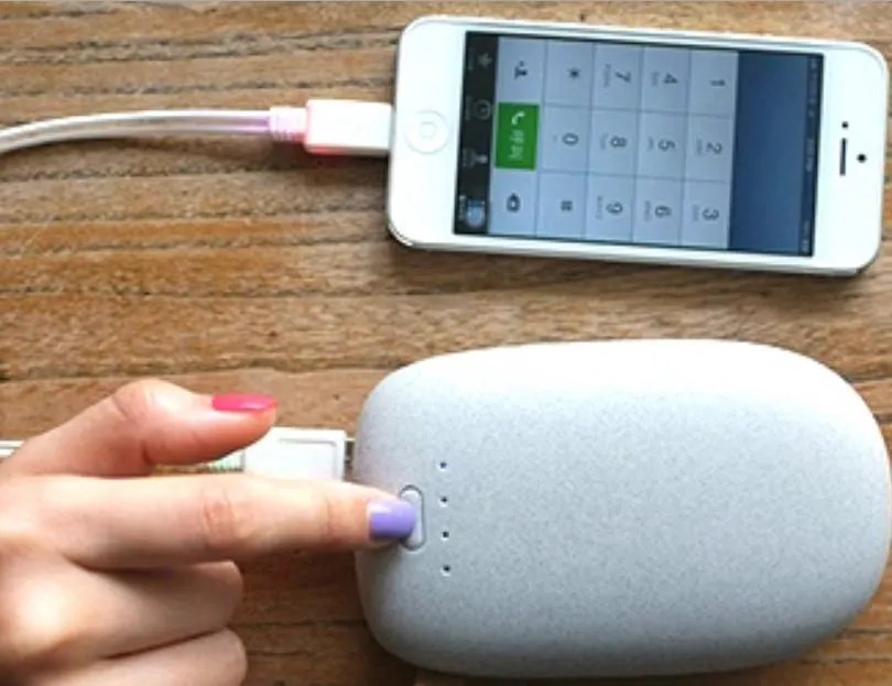 Dual Port 10,000mAh Pebble Powerbank