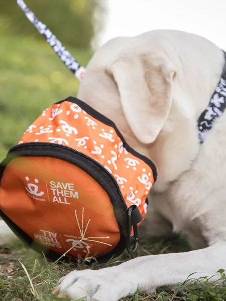 The Eco Friendly Foldable Travel Dog Bowls