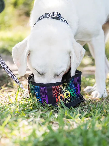 The Eco Friendly Foldable Travel Dog Bowls